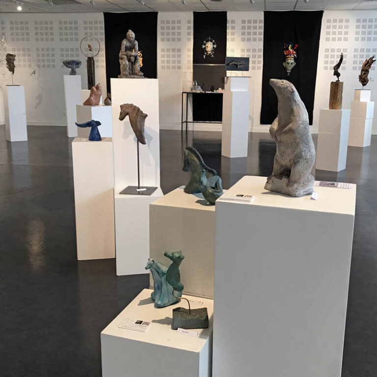 salle d'Expo Puy-De-Dôme divers artistes
